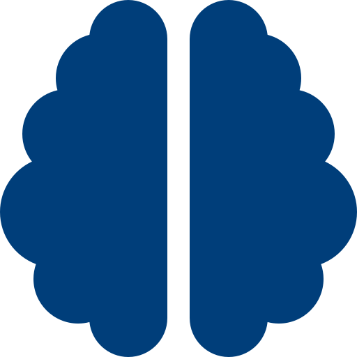 Brain icon