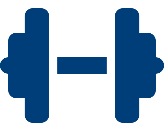 Dumbbell icon