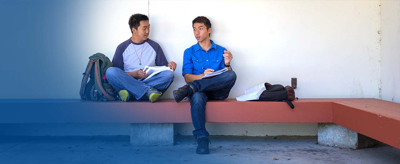 Students studying together on bench