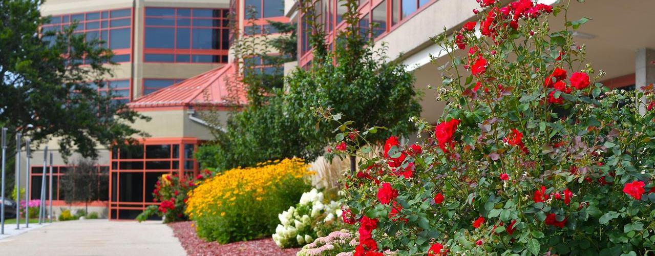 Campus entrance with flowers in bloom